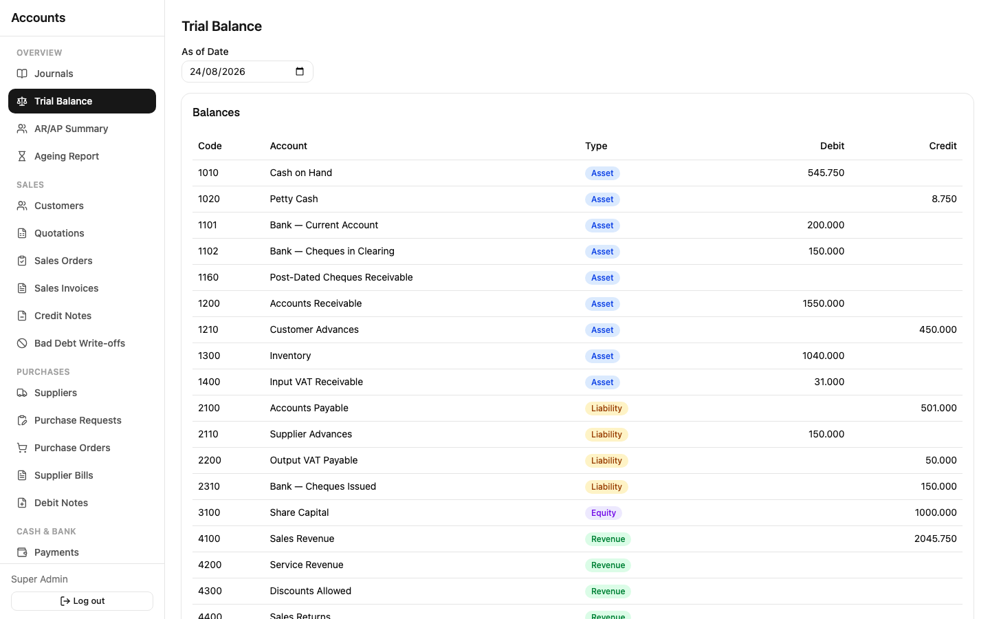 Erizon Accounts trial balance report